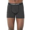 Icebreaker трусы-боксёры Anatomica Merino