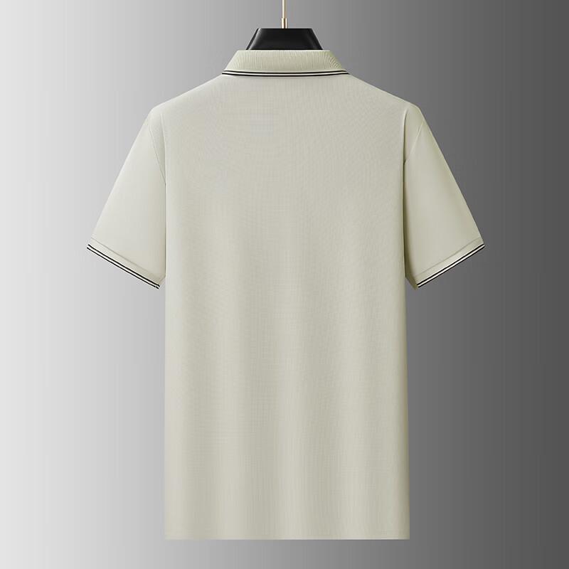 Men's Plus Size Business Casual Short Sleeve Polo Shirt