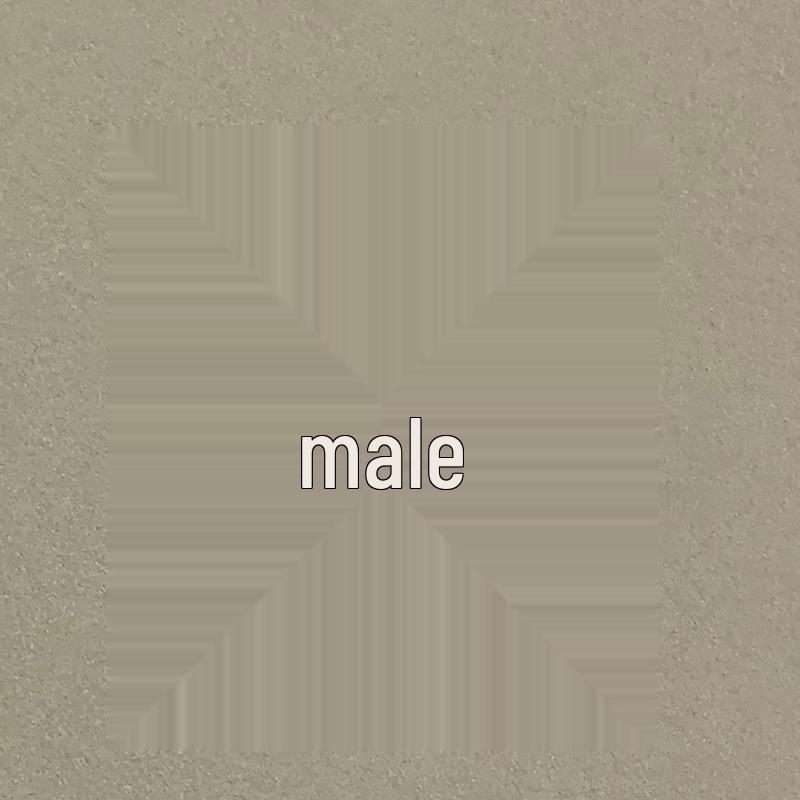 Gioielli Zampa di Gatto Carini: Accessori Fai da Te per Orecchini, Collane, Braccialetti & Ciondoli per Telefono