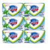 Safeguard Peppermint Icy Refreshing Bar Soap