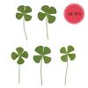 5PCS/10pcs Lucky Four-Leaf Clover Natural Original Grass Transparent Card Bookmark Wishing Simple Style Transparent Card
