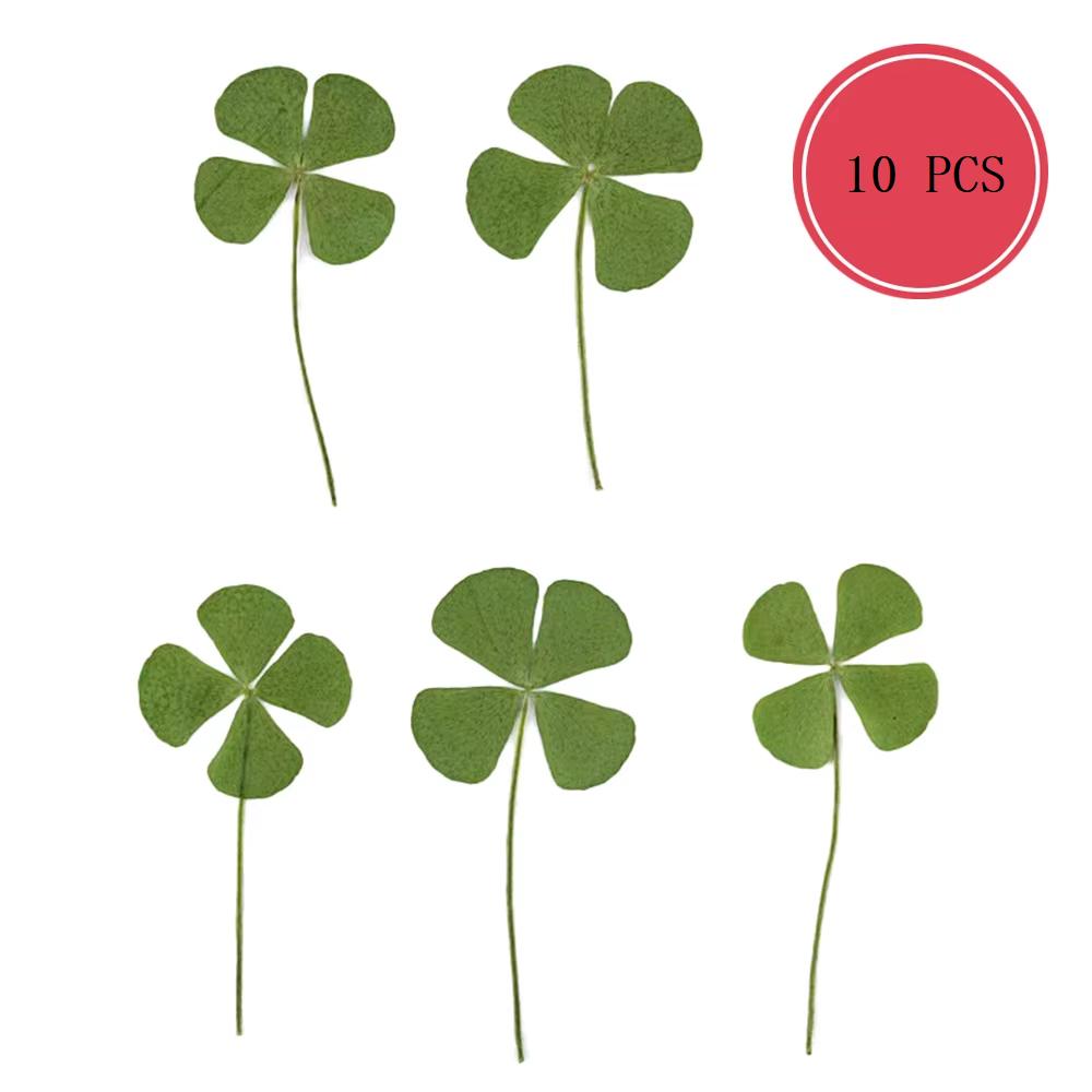 5PCS/10pcs Lucky Four-Leaf Clover Natural Original Grass Transparent Card Bookmark Wishing Simple Style Transparent Card