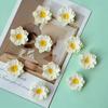 Resin Flower Refrigerator Magnets - Cute Frangipani Magnetic Decor for Kitchen