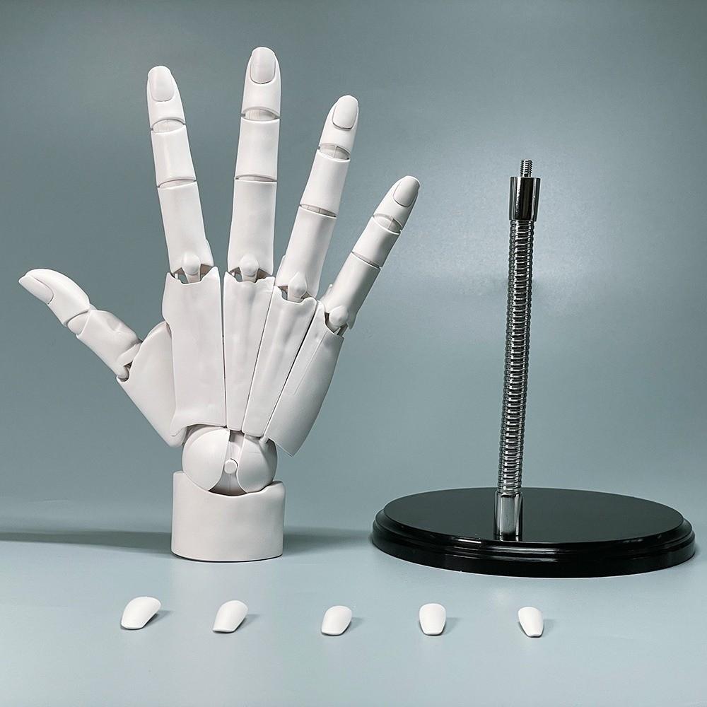 Left/Right Articulated Hand Model Hand Finger Joint Figurine  Simulation Sketching Painting