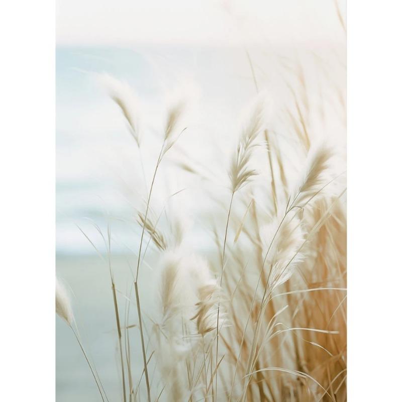 Nature Beach Sea Waves Coastal Pampass Grass Reed Sky Bus Photography Nordic Poster Canvas Printing Wall Home Decor