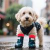 10Pcs Pet Bootie Fasteners Adjustable Non Slip Waterproof Paw Protector Straps Doggie Footwear Holders Outdoor