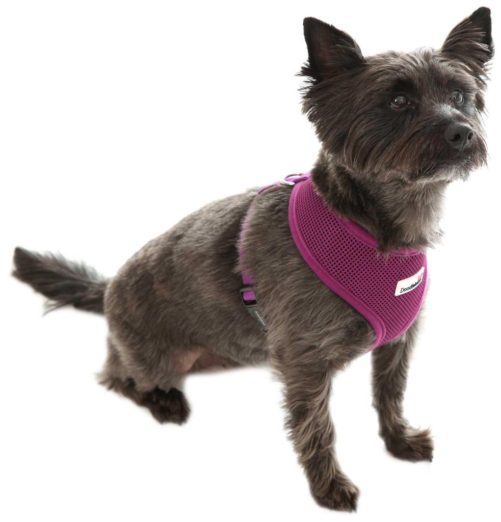 doodlebone puppy harness