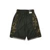 Nike Sports Shorts Men's Moderate CD7098-010