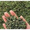 Dried Mulberry Leaf Herbal Tea Natural Energy Boost 17.6oz