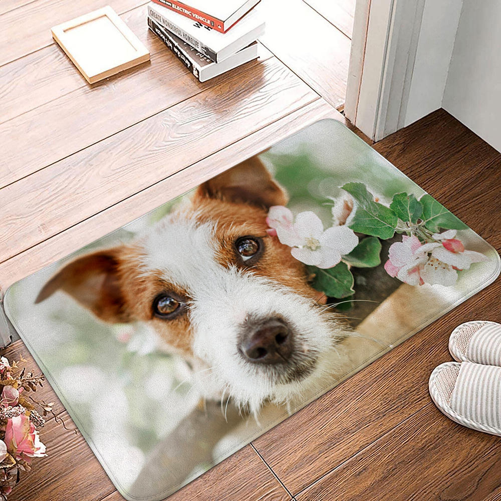 Non-slip Soft Rug Washable Living Room Bedroom Cute Dog Pattern Entrance Door Mat Floor Mat