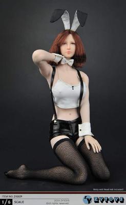 Figure ZY5029 Bunny Girl Clothes Set and Head Not [TOYBARJAPAN] 1/6 Accessories/ZYTOYS (body Included)