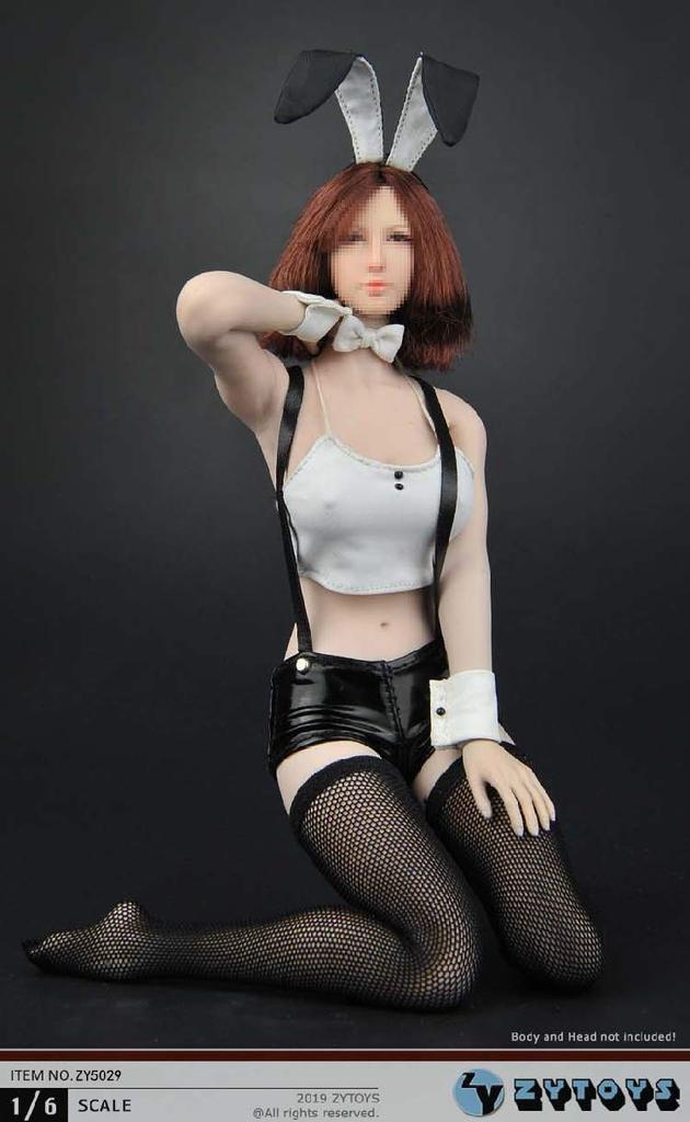 [TOYBARJAPAN] 1/6 Scale Figure Accessories/ZYTOYS ZY5029 Bunny Girl Outfit Set (Body and Head Not Included)