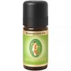 Primavera Rose Geranium Oil (Egypt) 10Ml