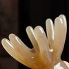 Octopus Scalp Massager Head Massage Brush Gua Sha Massage Comb Portable Hair Care Scalp Massage Tool for Relaxation And Stress Relief