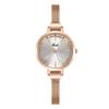Simple And High-Value Creative Small Plate With Quartz Waterproof Women'S Student Niche Stainless Steel Watch