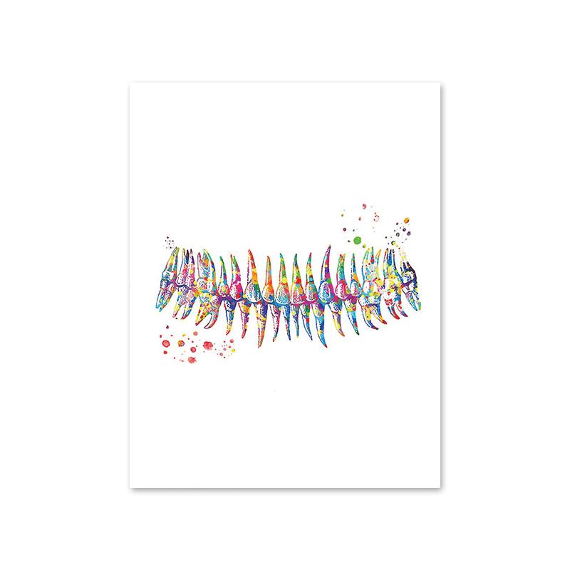 Anatomy Dental Medical Canvas Painting Watercolor Wall Art Posters and Print Pictures for Dental Equipment Teeth Home Decoration
