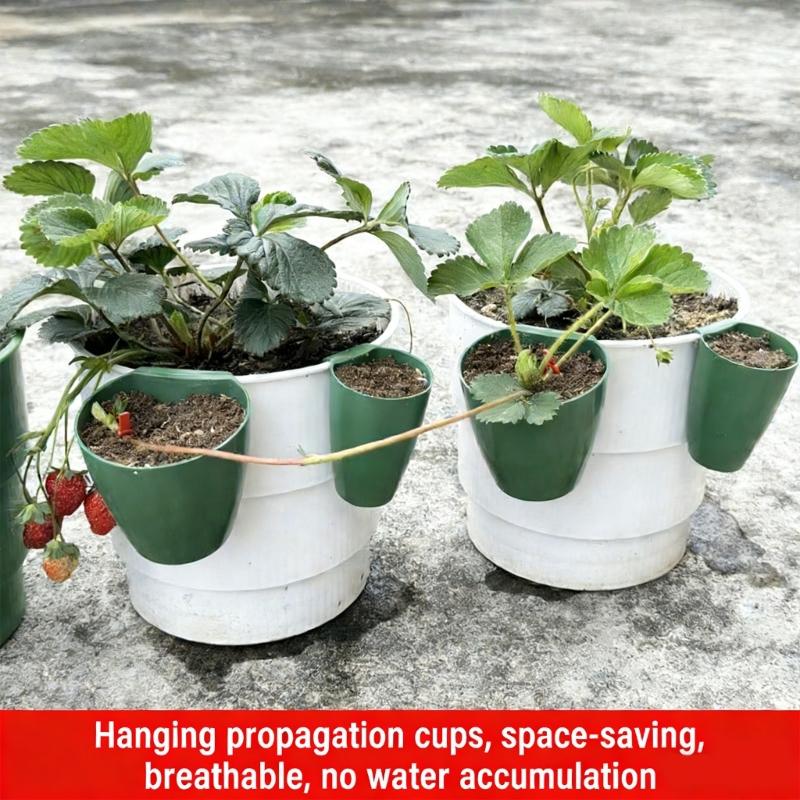 Propagation Cup Kit Featuring Food Grade Plastic and Runner Forks Ideal for Strawberry Runners and Seedling Cultivation