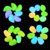 Luminous Stone 2.5-2.7cm - Fluorescent Pebble for Garden, Aquarium, and Landscaping