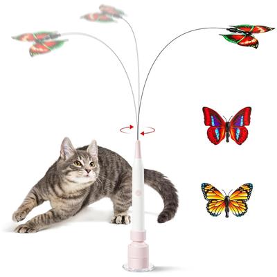 Gatti – Giocattoli per gatti