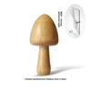 Wall-Mounted Punch-Free Sticky Hook for Clothes and Decoration