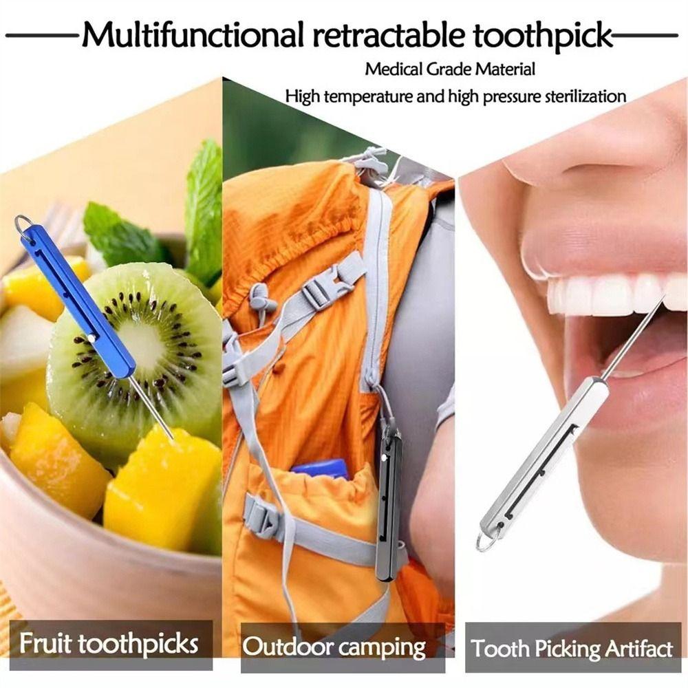 Push-pull Titanium Toothpicks Telescopic Fruit Toothpick Portable Metal Toothpick Outdoor Picnic