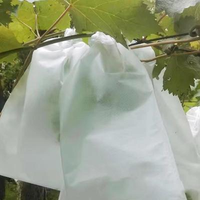 עציצים ואדניות – שקיות לשתילה