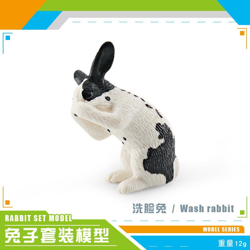 Adorable Plastic Rabbit Model Collection Featuring Wash Face Sitting Dwarf And Lop Ear Styles Face Rabbit