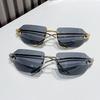 Cat'S Eye Sunglasses Metal Trend Sunglasses Borderless Leopard Head Glasses
