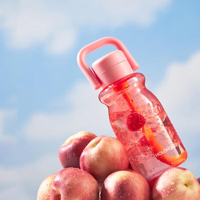 HOLOHOLO SE 630ml Sport Straw Cup