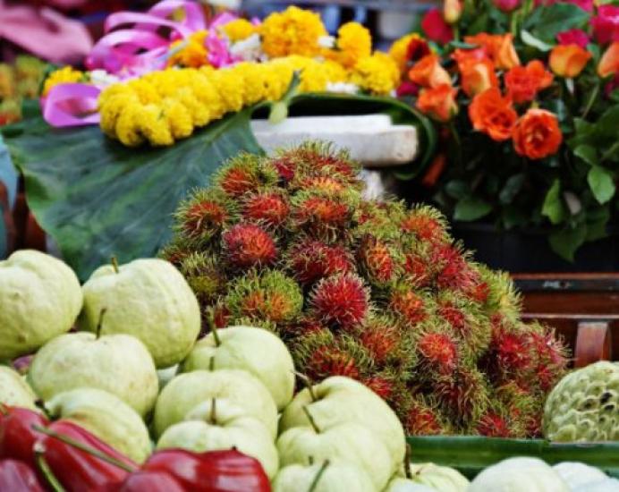 Sony Câmera Digital W810 6x Óptica Preta Cyber-shot DSC-W810-B