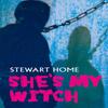 Shes My Witch by Stewart Home Paperback Book 9780995721746
