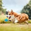 Portable Interactive Dog Ball Tooth Cleaning Treat Feeder Pet Food Feeder Cute Durable Dog Teething