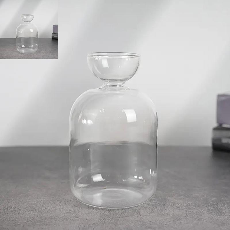 Colorful Transparent Avocado Hydroponic Vase Glass Avocado Seed Starter Vase Plant Seed Growing Kit Gardening Lovers Home Decor