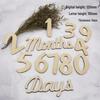 Wooden Baby Milestone Calendar & Photography Props for 100 Days and Monthly Celebrations