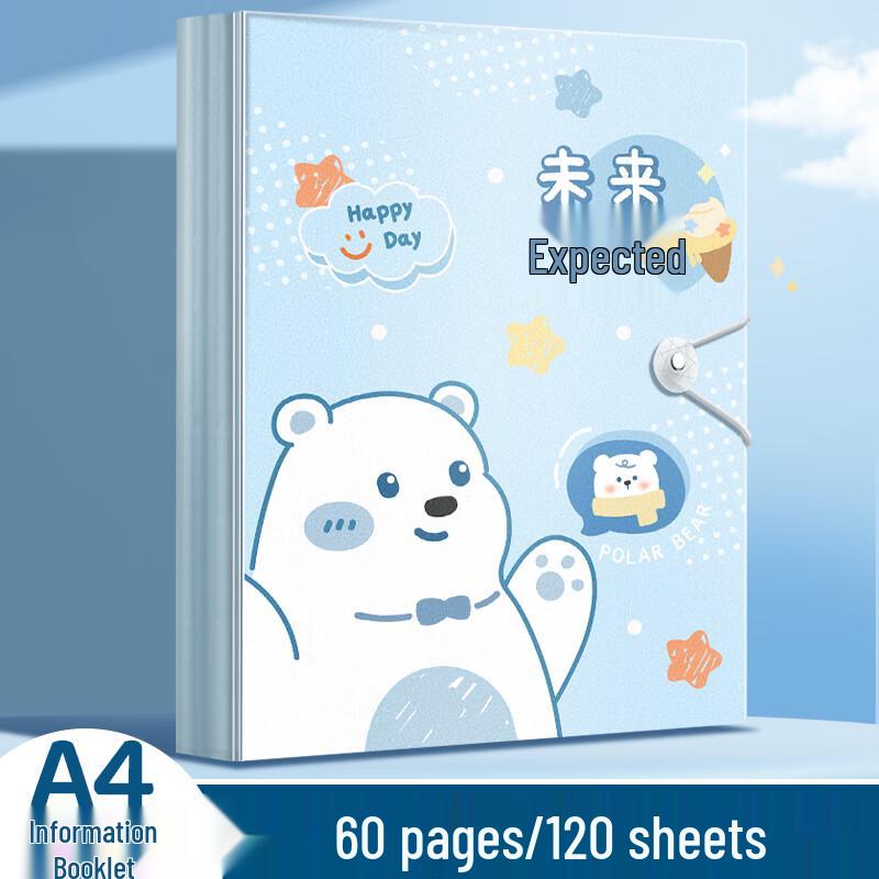 JinZhi A4 60-Page Clear Document Folder