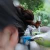 Wooden Chinese Hanfu Style Hair Clip Headwear Cartoon Aniaml Hairpin Retro Cat Hair Stick  Hanfu