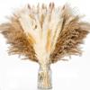110 sztuk Naturalny Suszony Bukiet Trawy Pampasowej Boho Wystrój Domu Phragmites Suszone Kwiaty Bukiet Na Ślub Kompozycja Kwiatowa