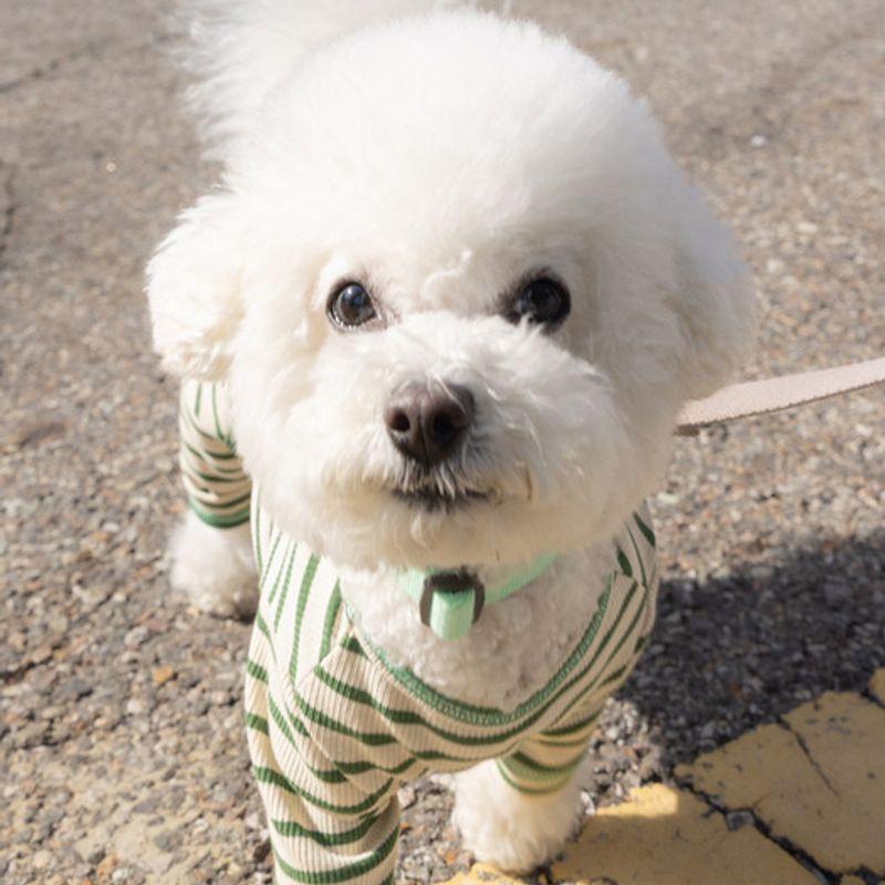 UBUN`TU Daily Stripe All-in-One Green