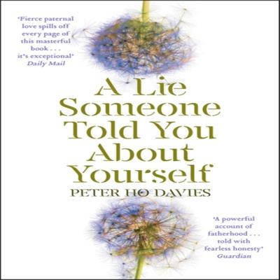 A Lie Someone Told You About Yourself by Peter Ho Davies Paperback Book 9780340980293
