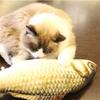 Playing Kitten Mint Stuffed  Pet Cat Toys Artificial Fish Catnip