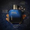 Wild Stone Whisky Perfume for Men, 100ml|Long Lasting EDP|Woody and Fruity Fragrance|Premium Eau De Parfum