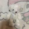 [USED] Used Canal 4℃ Teddy Bear Plush Toy with Music Box