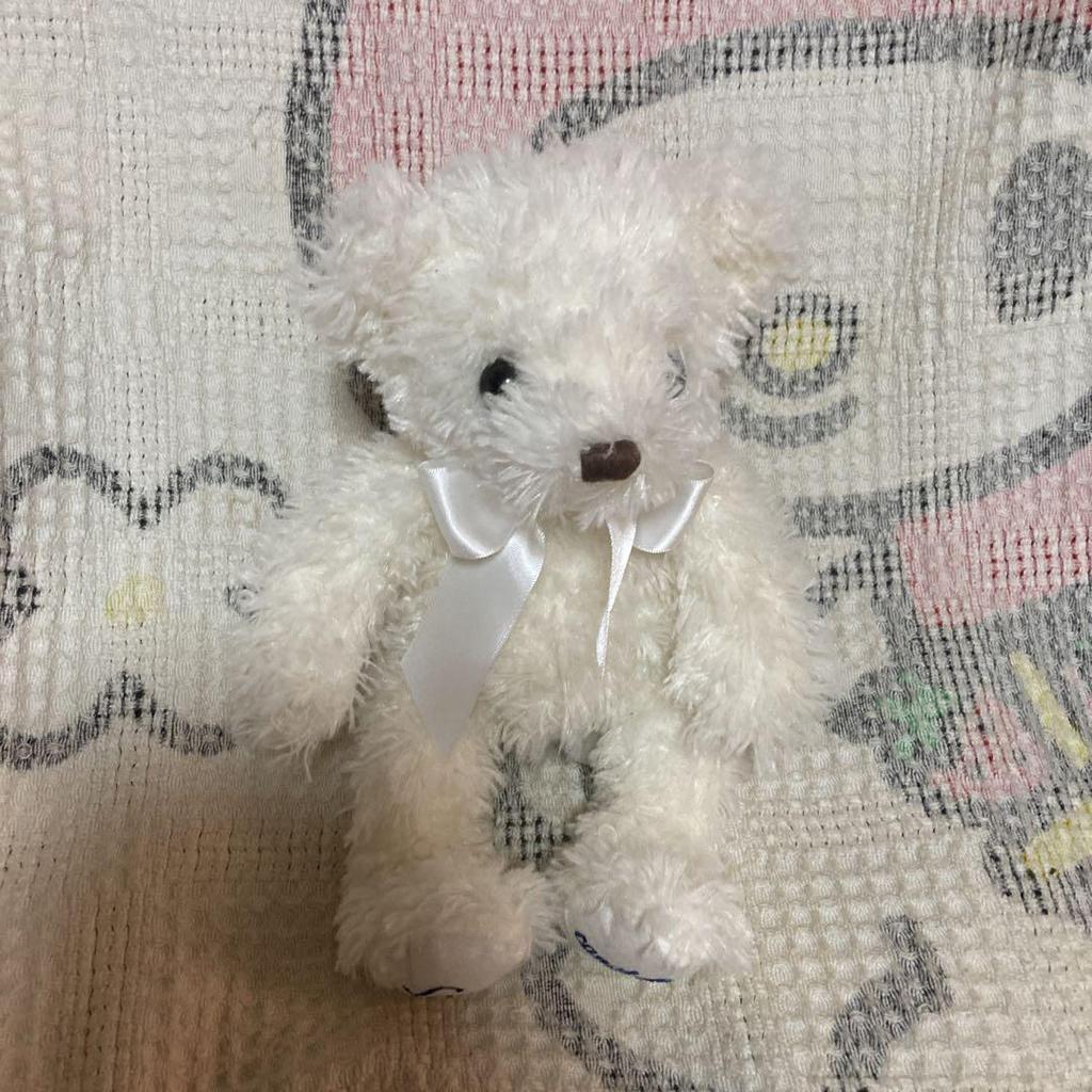 [USED] Used Canal 4℃ Teddy Bear Plush Toy with Music Box