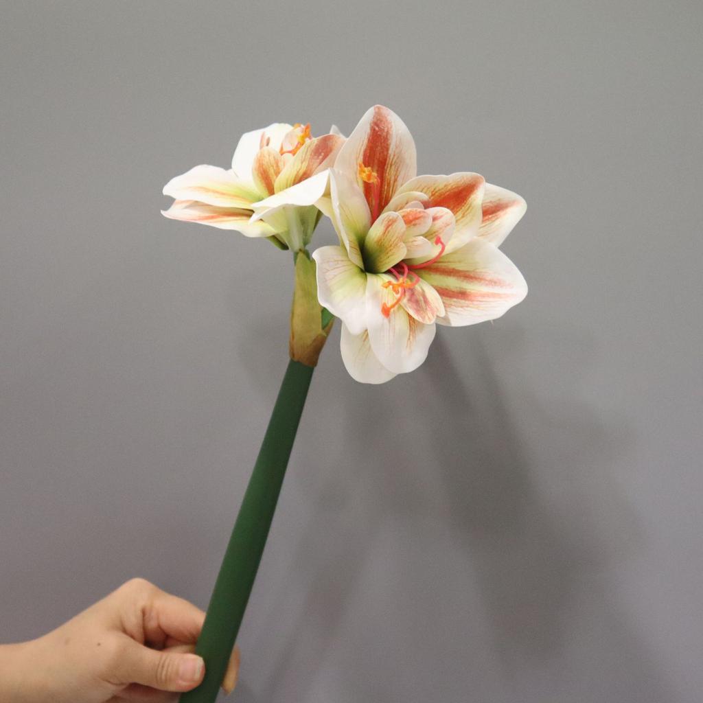 2pcs Artificial Kaffir Lily Flower Branch Real Touch Clivia Stem for Wedding Home Decoration