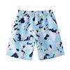 Beach Pants Men'S Printed Five-Point Beach Shorts Loose Casual Beach Pants Quick-Drying Surf Shorts