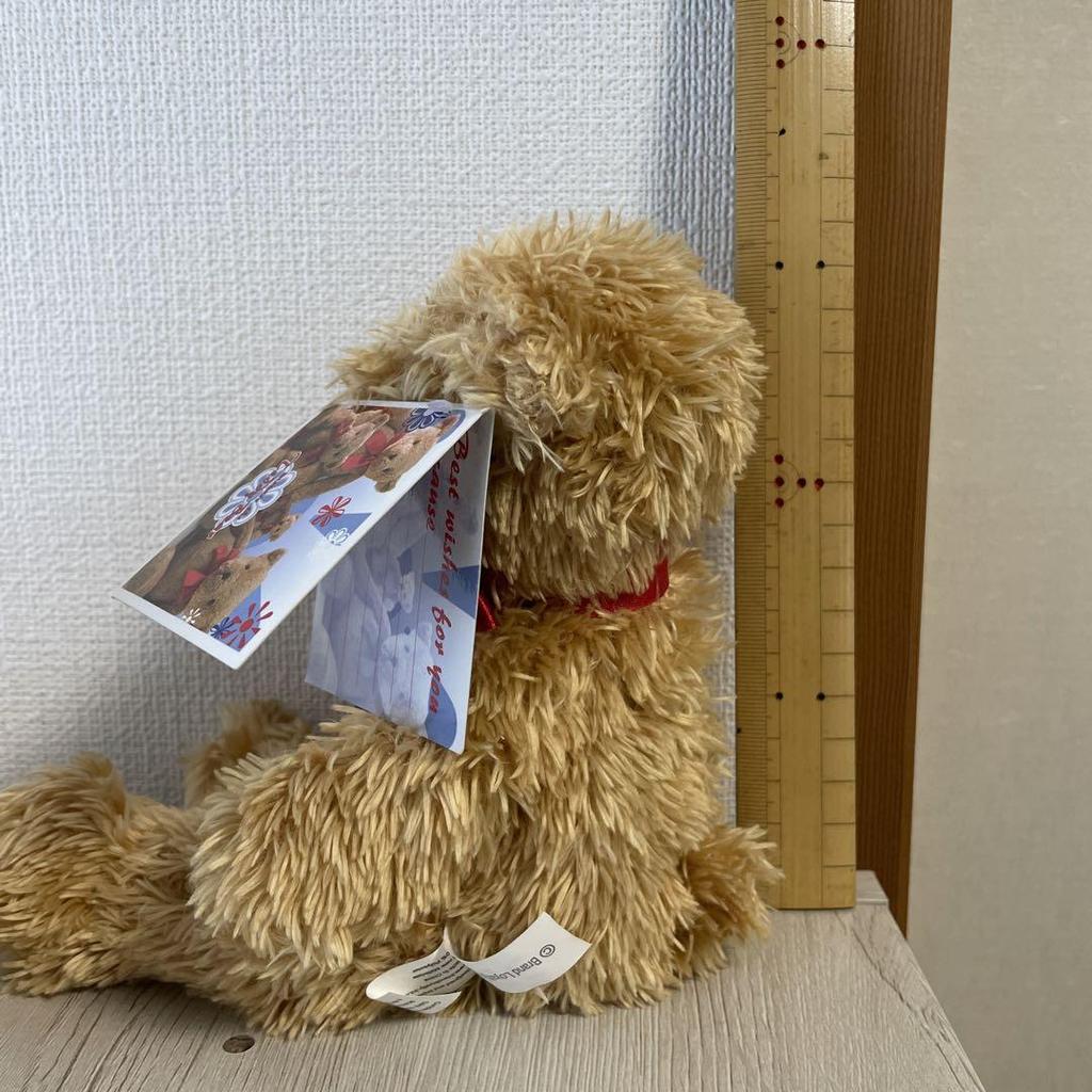 [USED] Teddy Bear CE Mark