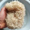 Spugna Luffa Naturale ed Ecologica Scrubber Per Cucina Spugna da Bagno Scrubber Spa Bagno