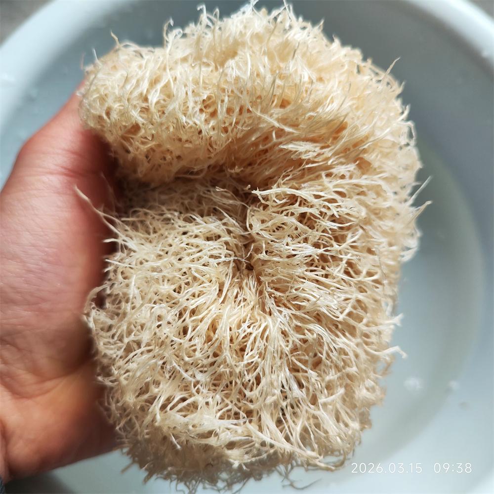 Spugna Luffa Naturale ed Ecologica Scrubber Per Cucina Spugna da Bagno Scrubber Spa Bagno