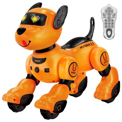Uzaktan Kumandalı Oyuncaklar ve Dronelar – Uzaktan Kumandalı Robotlar ve Hayvanlar