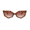 Fashionable Cat Eye Sunglasses for Women Small Frame Tortoiseshell Design Live Broadcast Hip Hop Style Sun Glasses